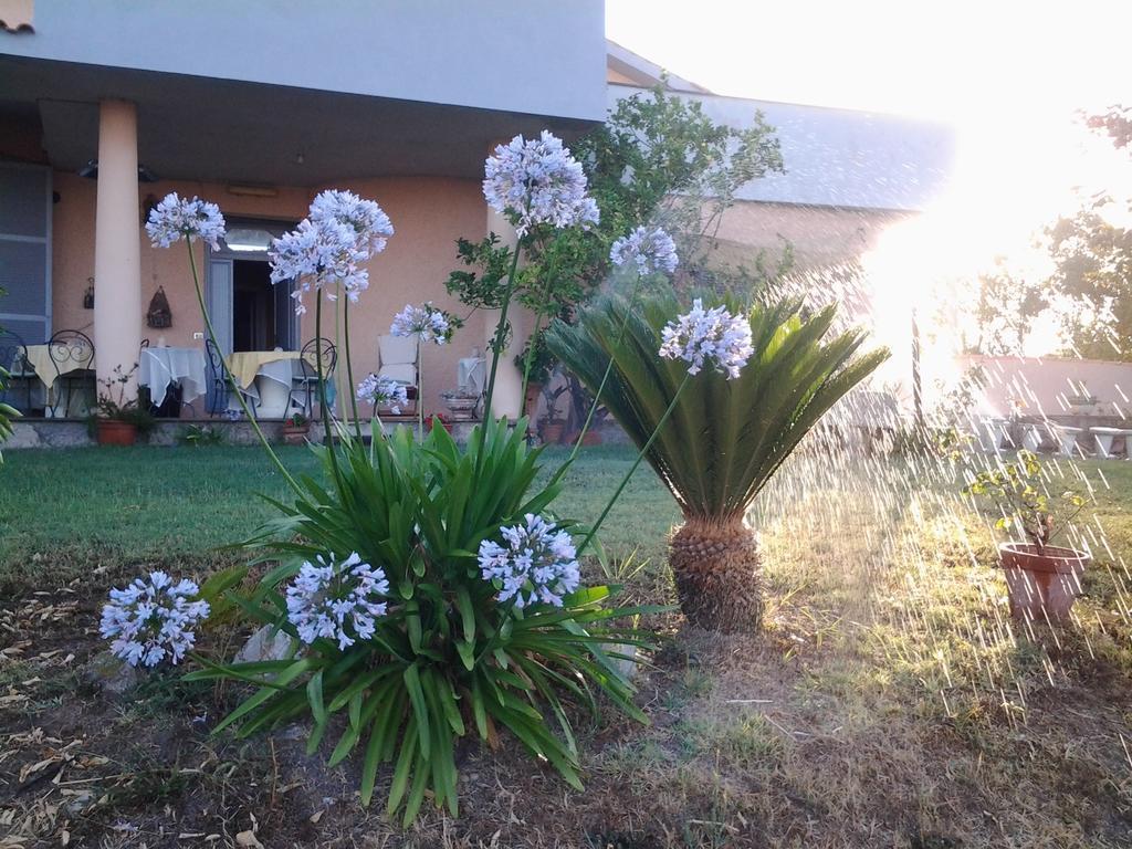 Guest House Villa Di Judighes Cerveteri Exterior foto