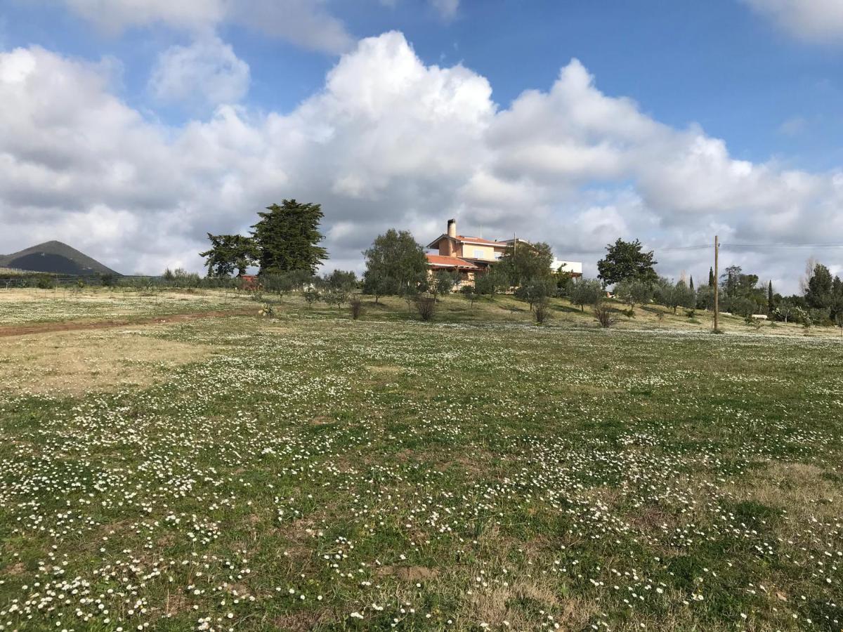 Guest House Villa Di Judighes Cerveteri Exterior foto